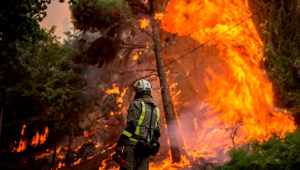 El 2024 se registró como el año con mayor devastación en México por incendios forestales. Más de 900 mil hectáreas fueron consumidas: Conafor.